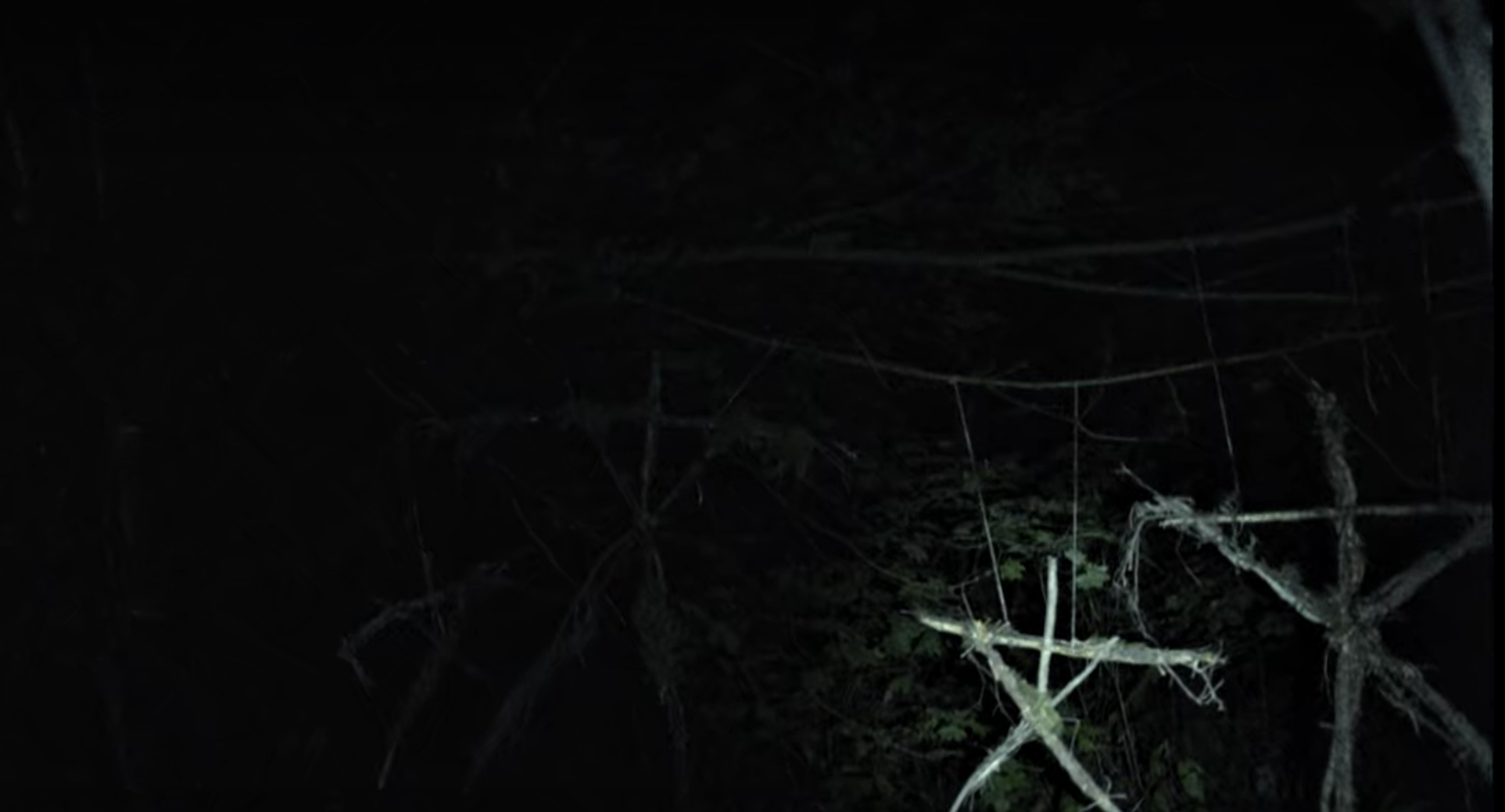 Blair Witch — 2016